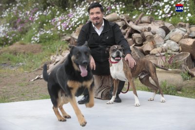 La alianza que les mejorará la calidad de vida a las mascotas