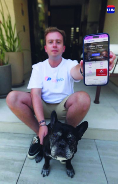 Un puente digital entre humanos y animales en adopción