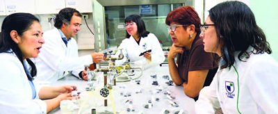 Plan científico para convertir la aceituna de Azapa en un snack masticable