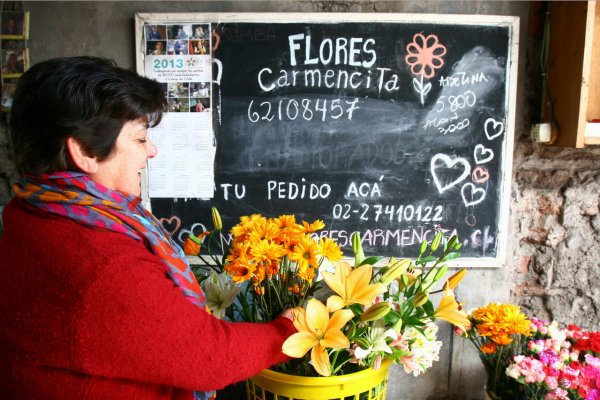 Edelmira tiene su centro de operaciones en el patio de su casa.