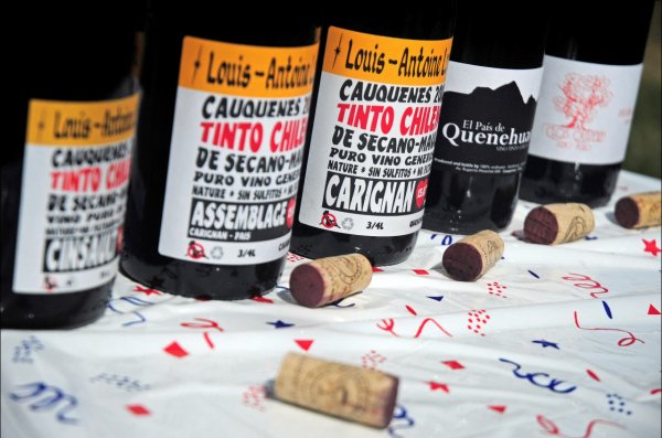 Así lucen algunos de los vinos que forman parte de Chanchos Deslenguados. 