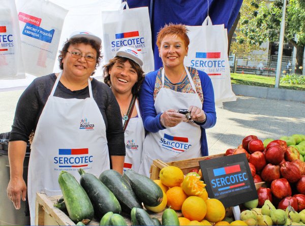 Las postulaciones para optar a los fondos están abiertas hasta el 9 de mayo.