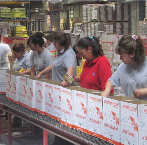 La producción estimada en SMU es de 200.000 cajas navideñas.