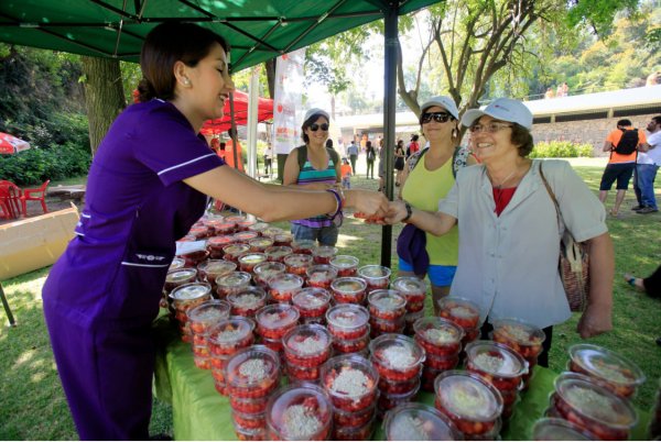 En la piscina Tupahue se repartieron 300 colaciones con frutas.