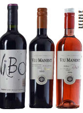 Un tercio del catálogo de Viu Manent lo conforman vinos hechos con la cepa malbec.
