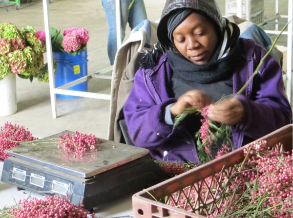 El trabajo con flores exige ser muy minucioso.