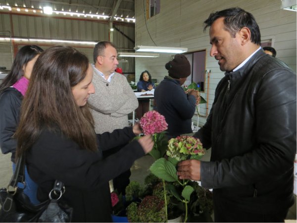 La idea es darles herramientas a los pequeños productores.