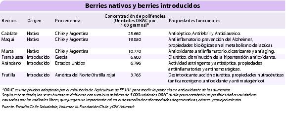 Berries nativos y berries introducidos.