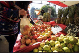 La concentración en la distribución de productos hortofrutícolas es un tema sensible para las ferias libres.