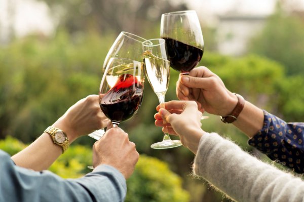 Entretenido y sociable, los atributos del vino para resaltar.