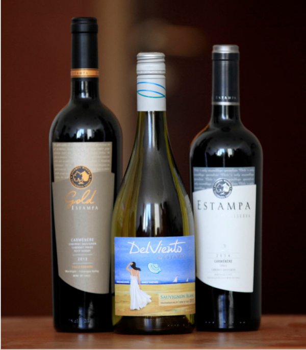 Estos son algunos de los productos destacados de Viña Estampa.