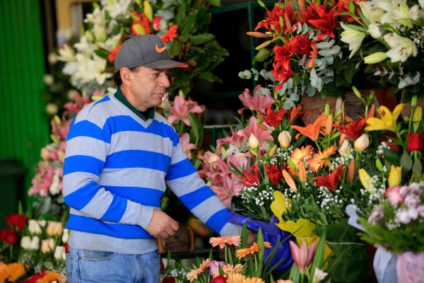 Juan Pablo Gajardo y la semana de oro: "Pasamos de vender 200 rosas a 2.000".