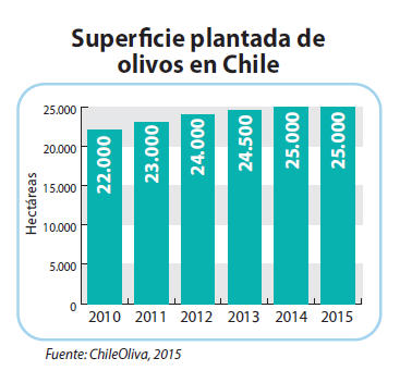 Superficie plantada de olivos en Chile.