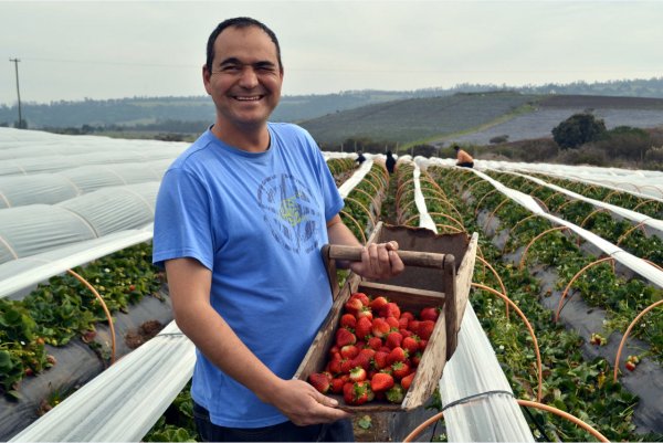 Jerez se luce con su sistema de producción micro túnel y agradece el apoyo de Indap.