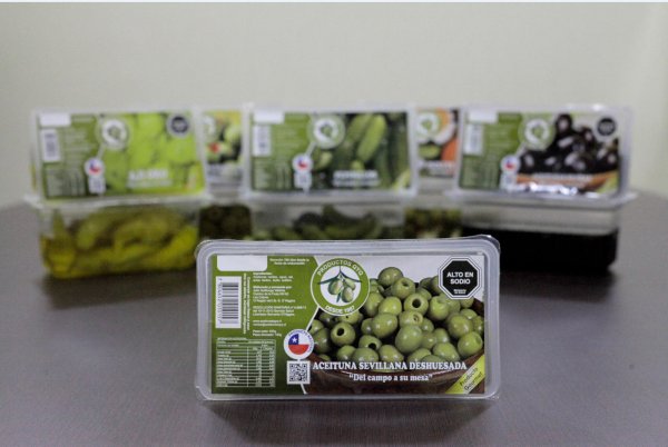 Aceitunas verdes y negras son la base del negocio.