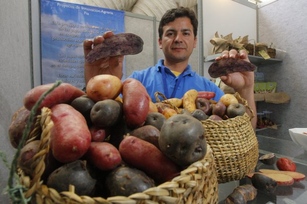 La primera Expo Soy una Pyme Sostenible se llevará a cabo el 9 y 10 de marzo en Copiapó.