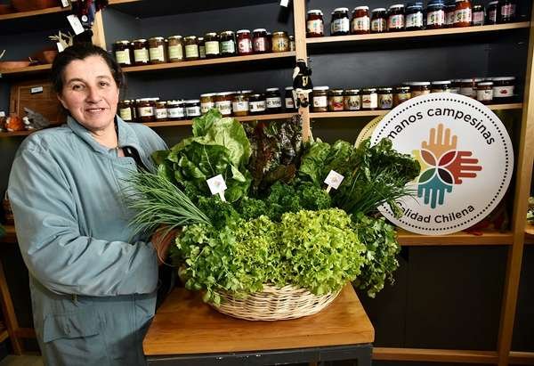 La idea de este sello es apoyar a la agricultura familiar.