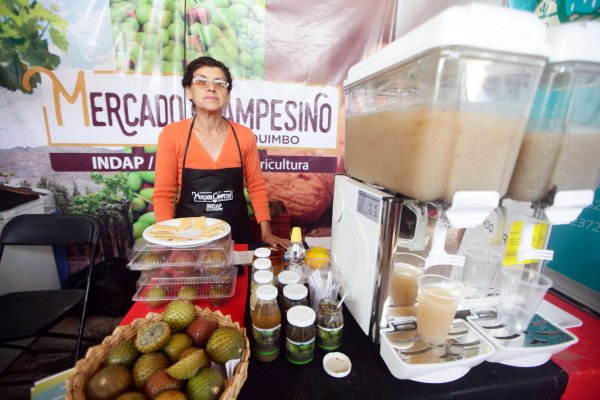 En la cooperativa les interesa destacar la potencialidad de la rumpa en formato jugo.