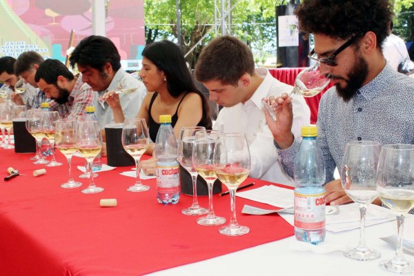 El jurado estuvo compuesto por 11 expertos en el arte del vino, como enólogos, sommeliers y periodistas.