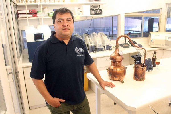 Fernando Salazar es el director del diplomado de microcervecería de la UCV.
