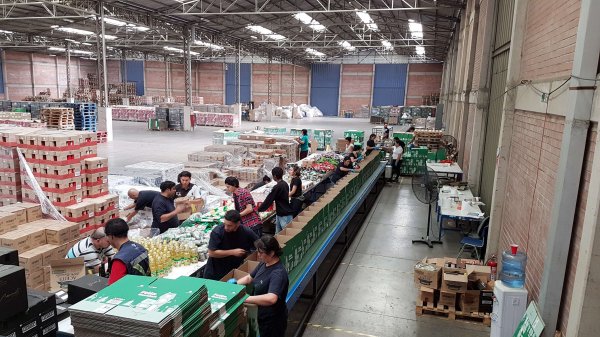 En APL Logistics cuentan que repartirán cuatro variedades de cajas.