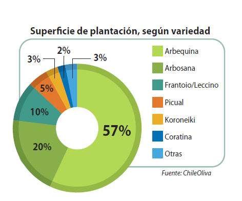 Superficie de plantación, según variedad.