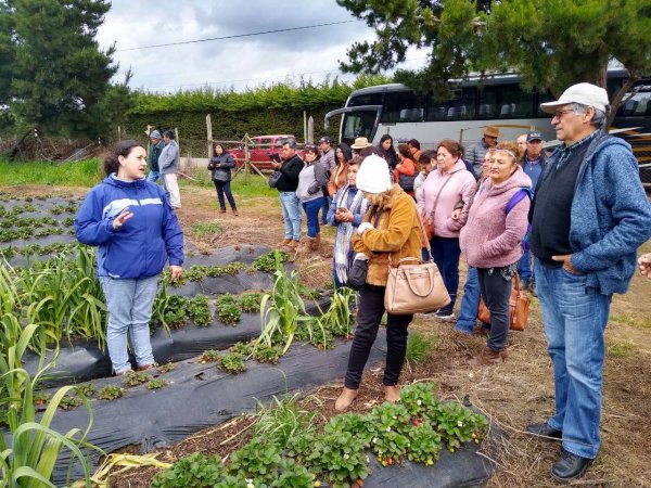 Agricultores de Nogales visitaron la zona de Curanipe y Pelluhue.