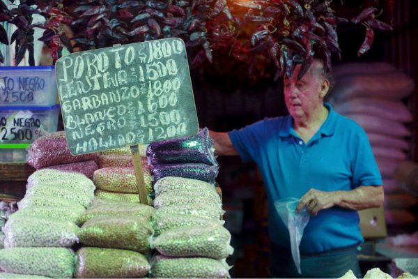 "Hay solo una variedad de porotos cosechada en el país". Humberto Arredondo