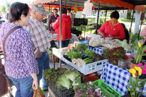 A mediados de marzo dejó de funcionar esta feria, que tenía posturas los días sábados.