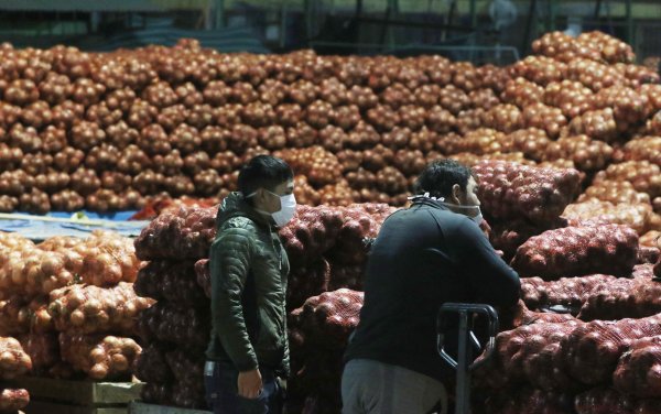 El plan es un nuevo terminal hortofrutícola en la zona norte de la Región Metropolitana.