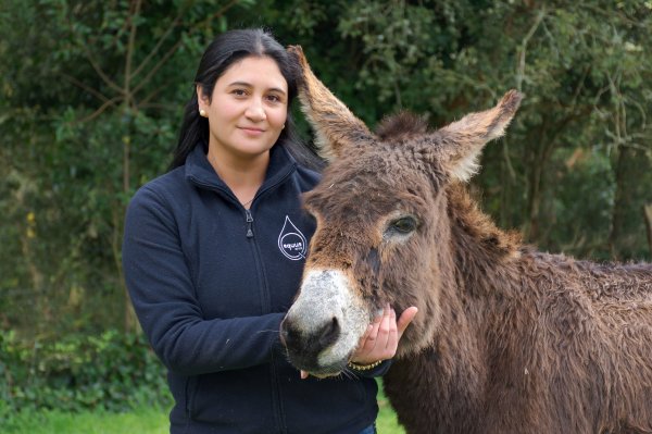 Equus sacará luego una línea de jabones con base de leche de burra.