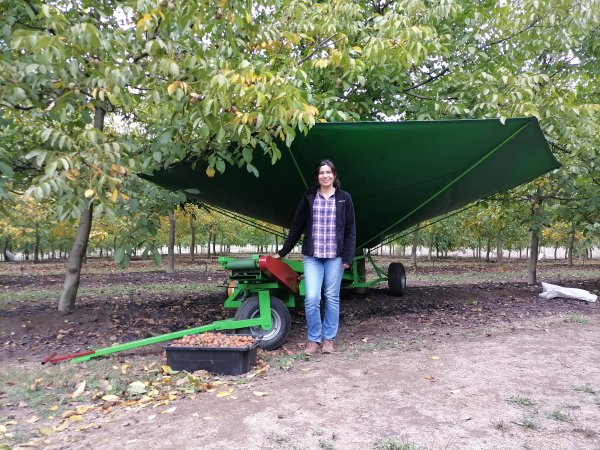 La máquina logró optimizar el proceso de cosecha. Marilyn TrocosoCED