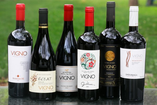 Los vinos deben cumplir con varios requisitos para llevar la marca Vigno.