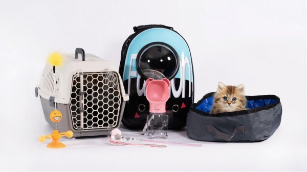 En Pet Station se  barajan con 13  kits alternativos para mascotas.