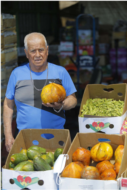 Estas lechosas se cultivan en el extremo norte del país. Carlos Astorga