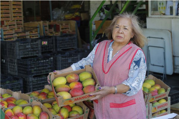 Los mangos llegan de Brasil, Ecuador, Perú y México. Margarita Calfunao