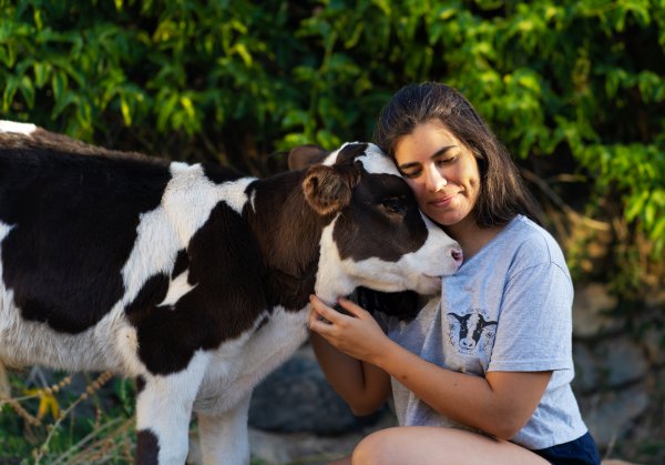 Diamela Covarrubias es parte de una ONG que dignifica el trato a los animales. 