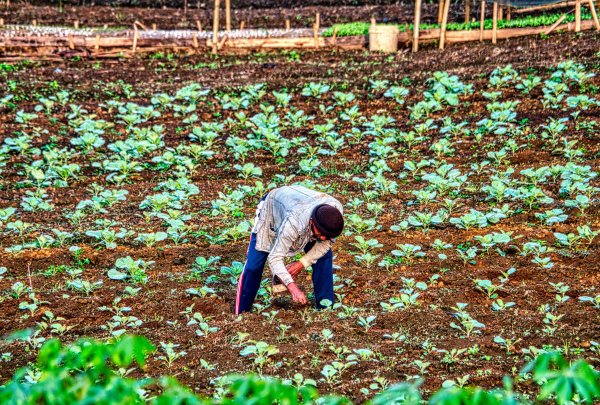 La empresa chilena Tequia promueve una alternativa a los nutrientes tradicionales.