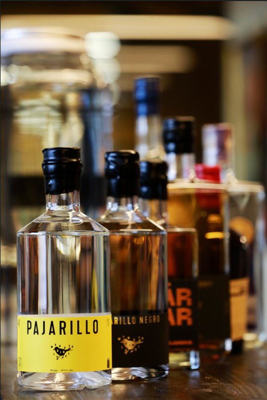 Mensualmente se producen cerca de 2.000 botellas de gin Pajarillo