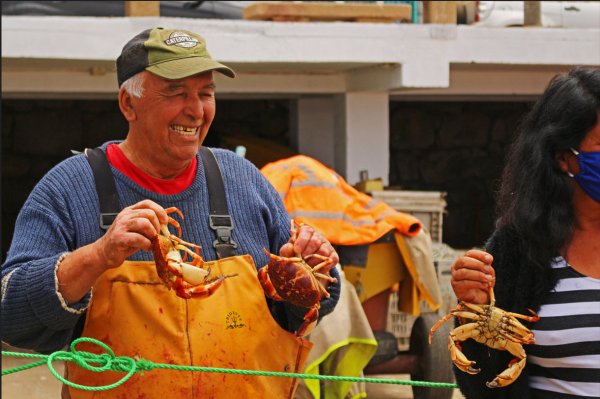 Pescadores artesanales apotan la variada oferta tanto online como en el local.