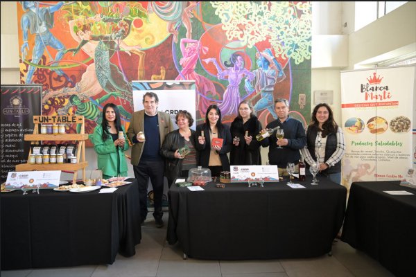 Emprendedores de la región del Maule ocuparán un lugar especial en la feria.