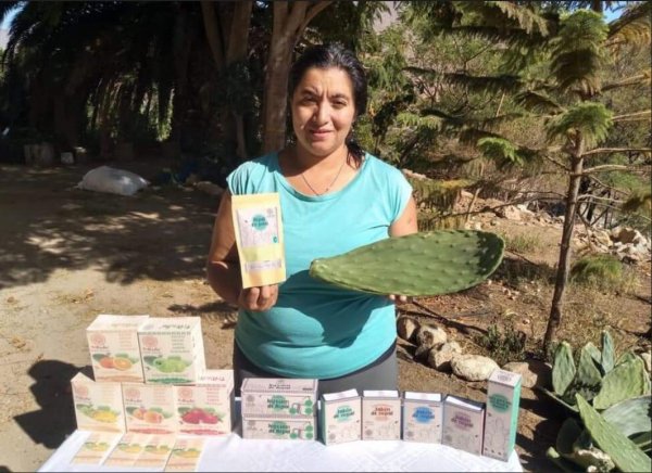 Guzmán cuenta que comenzaron a vender polvo de nopal hace dos años.