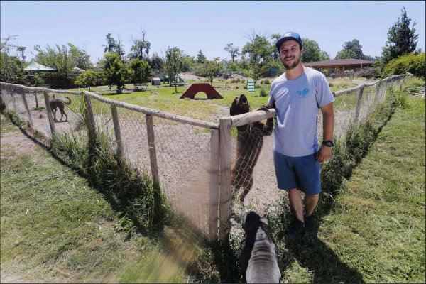 Felipe Correa dijo que al principio albergaban perros de amigos.