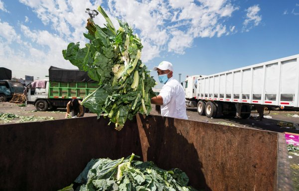 Los desechos de frutas y verduras de centros como Lo Valledor terminan de alimento para animales en zonas de sequía.