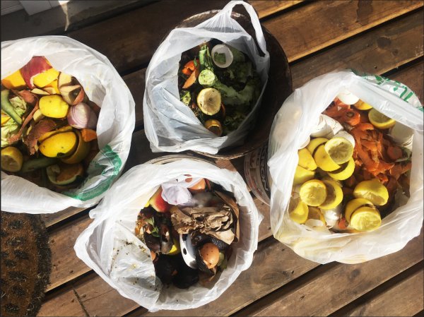 Las materias primas que dan vida al compost casero.