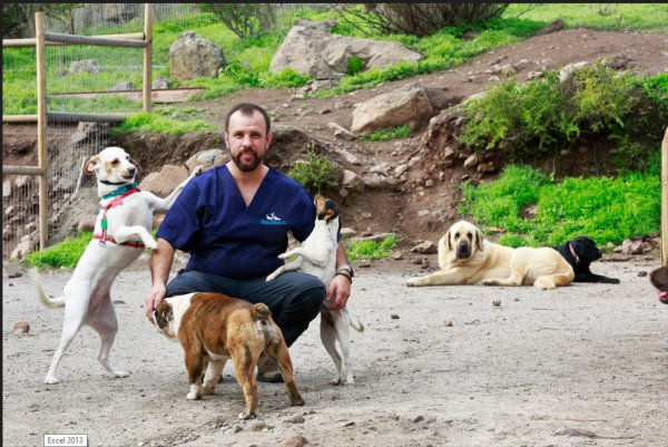 Ignacio Arellano es médico veterinario y tiene un magíster en etología y bienestar animal.