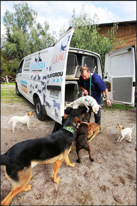 El servicio apunta a mascotas que viven en comunas del sector oriente como Las Condes,
La Reina y Ñuñoa.