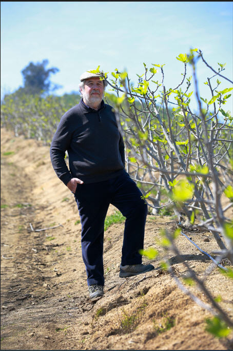 Martín Wielandt tiene 12 hectáreas plantadas cerca de Melipilla.