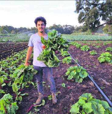 Trabajamos muy duro para innovar en nuestro proyecto agroecológico, Germán Jara.