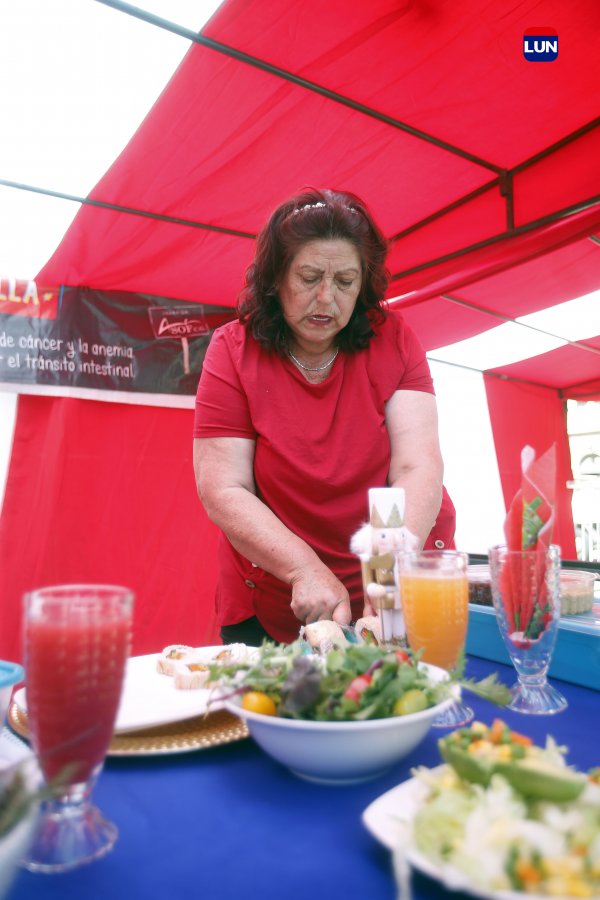 Lo ideal sería que esta iniciativa fuera replicada en varias comunas, plantea Fanny Gajardo.